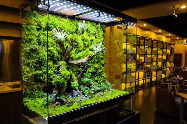 40寸曲面屏幕,40寸台球桌