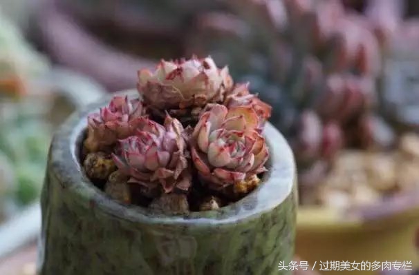 入坑一年小说,入坑一年