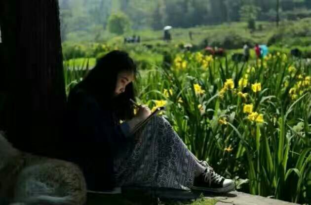 看完这些摄影作品点评，你的摄影技能会有大幅提升