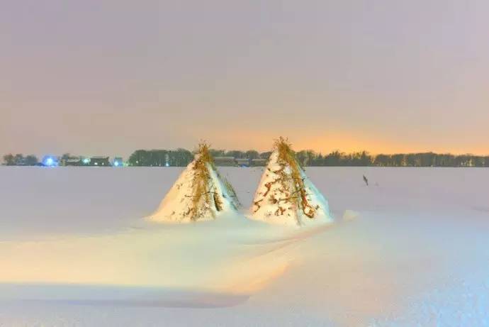 微观茶市丨古茶树安装GPS定位意义何在？