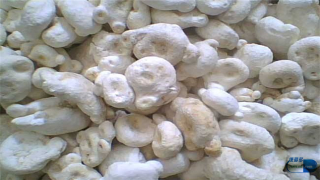 天南星是抗肺癌中药吗,中药天南星