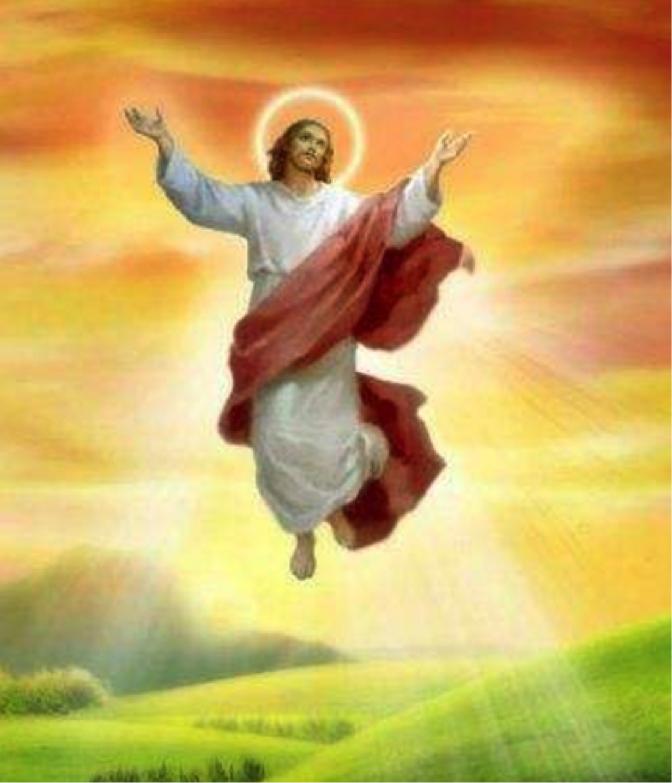 西游伏妖篇的深度解析,西游记主要揭露什么样的黑暗事实