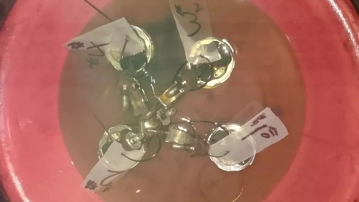 报废CBR250MC17复活