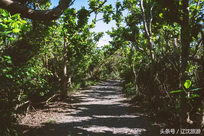 去台湾看自然风景,台湾小众景点