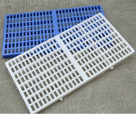 新手养兔子视频教程全集,新手养宠物兔子视频