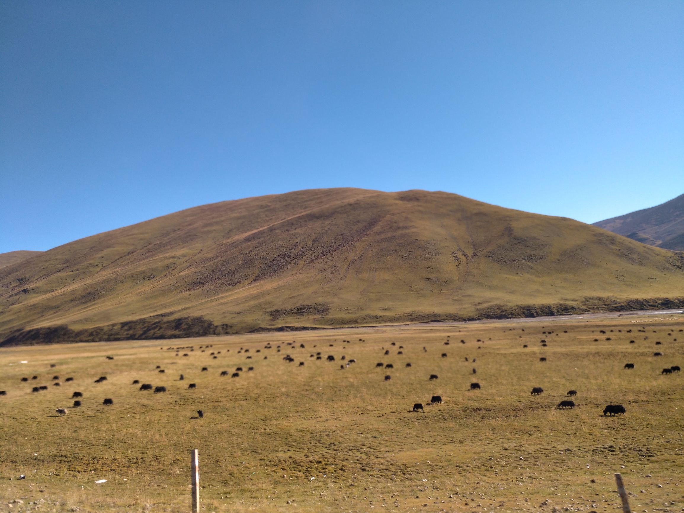 宁夏到陕西的沿途旅游,从宁夏自驾游到重庆多长时间