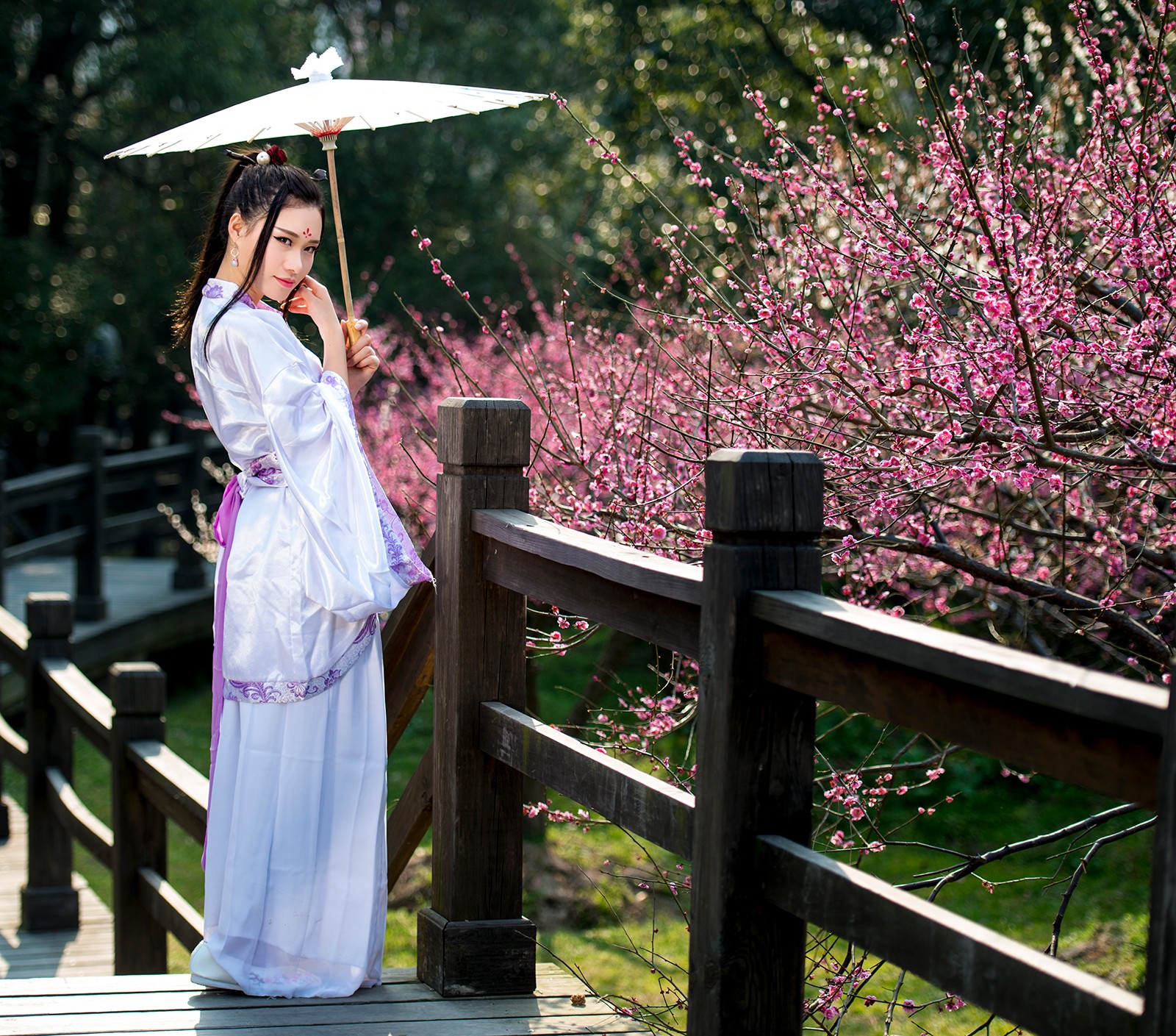 咏梅吟诵完整版,姜夔著名的咏梅诗