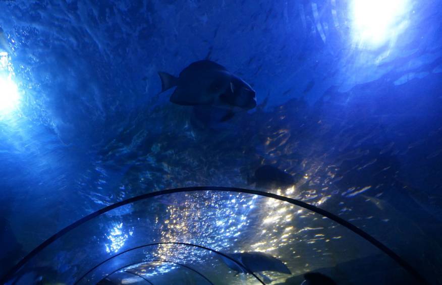 青岛最值得去的十大景点地图,青岛最值得看的景点