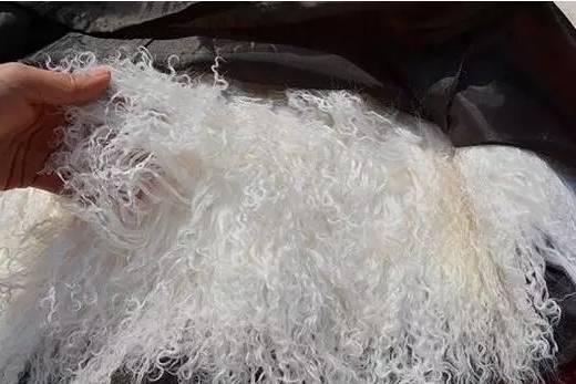 宁夏特产有哪些小吃可以带,银川旅游可以带哪些特产回来