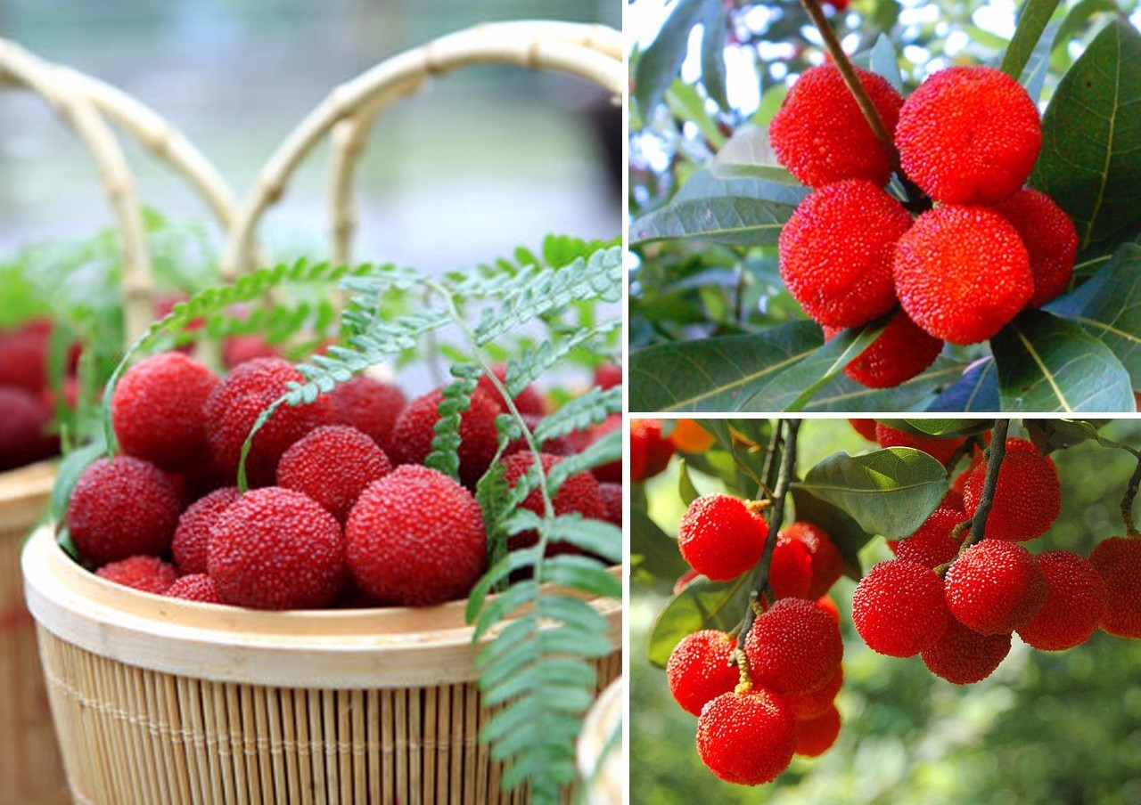 无锡旅游到底好不好玩,无锡旅游值得去吗