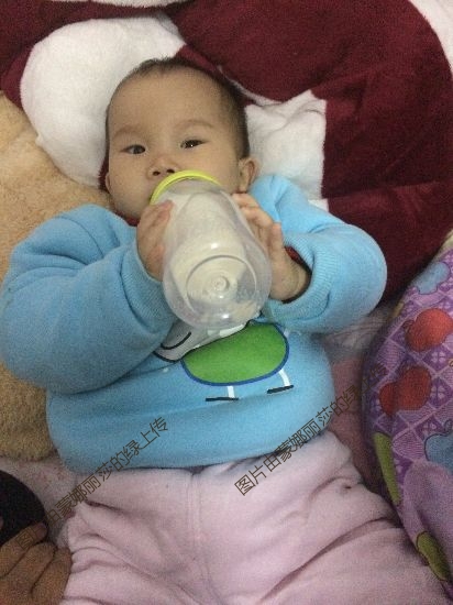 利其尔透透奶瓶——宝宝戒奶必备神器