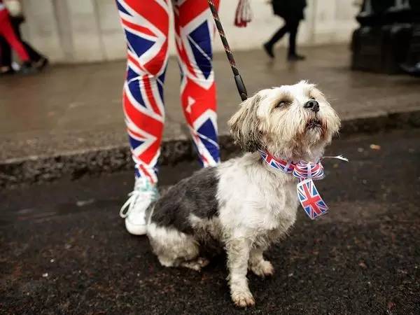 美国人听不懂英国人说的话,美国人听不懂中国人说的话视频
