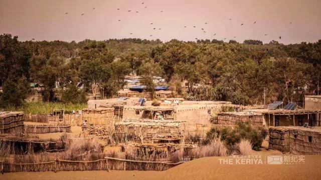 战马时代音乐家跨刀NHK纪录片《最后的沙漠守望者》