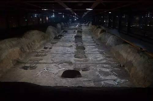 荆州多景区旅游日限时优惠,荆州好玩的活动