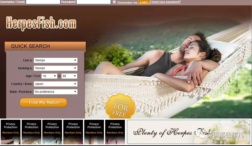 美国婚恋相亲网站,美国的婚恋交友网站