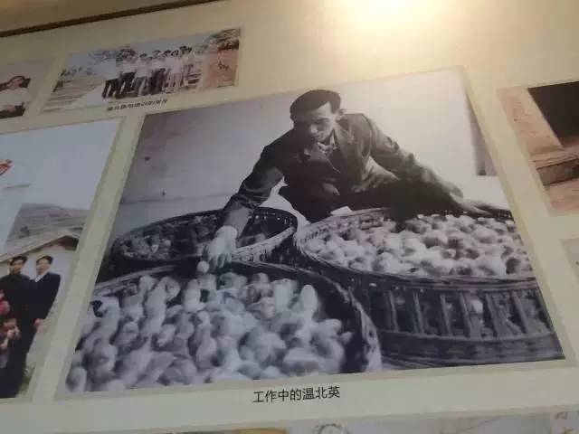 这个二愣子总裁和鸡睡了20年，还把一家鸡场干到了2000亿，全球的鸡都得管他叫爸爸！