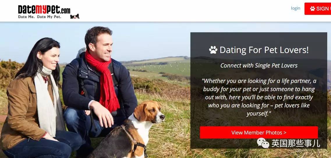 美国婚恋相亲网站,美国的婚恋交友网站