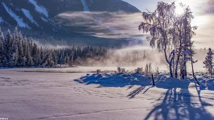 最新喀纳斯禾木视频,新疆喀纳斯禾木冬天视频