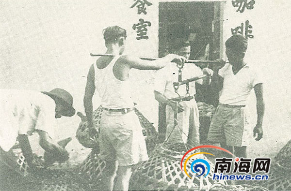 新加坡海南鸡饭文化,乡愁就是一碟海南鸡