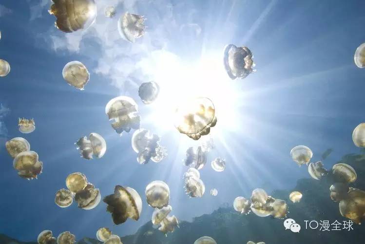 东南亚顶级海岛游,去东南亚旅游哪个海岛比较合适