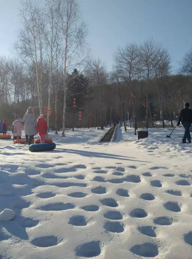 哈尔滨冬天免费玩雪的地方,哈尔滨冰雪旅游春节