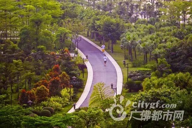 佛山免费体育公园,佛山室内体育免费