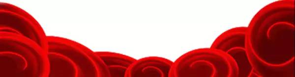 喜报！谯检荣获“2016年度全市先进基层检察院”称号