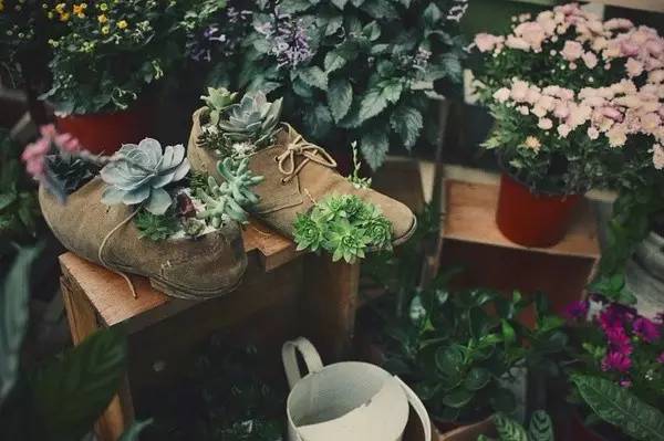 无底线提升千元出租屋品味，看90后美少年怎样活出无数人向往的样子……