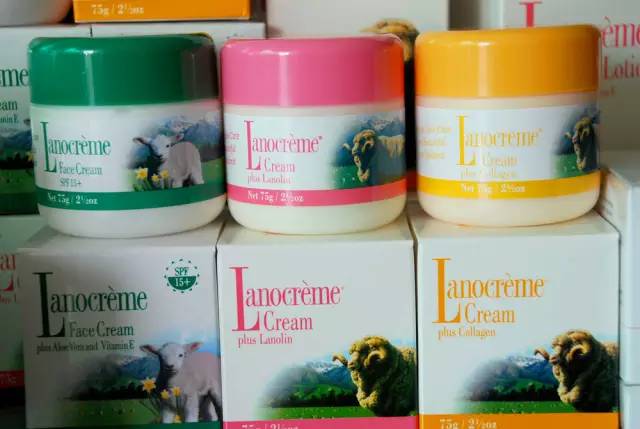 最好的旅行伴手礼,世界各地的旅游伴手礼