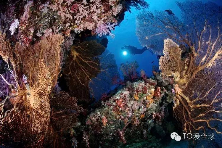 东南亚顶级海岛游,去东南亚旅游哪个海岛比较合适