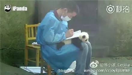 太搞笑了图片,搞笑照片看你们能憋几秒不笑