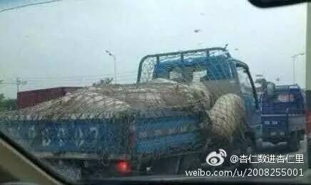 太搞笑了的图片,太搞笑了配图