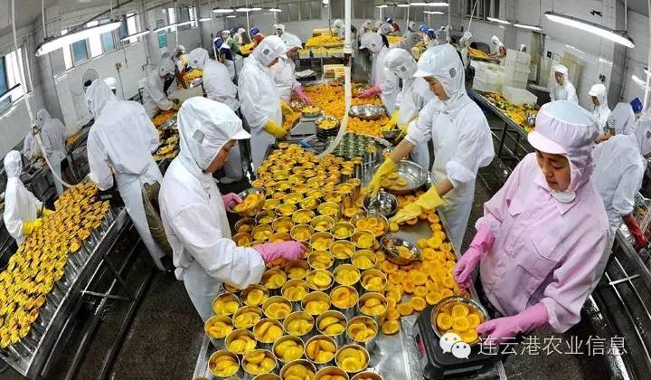 现代农业十强十佳名单,我省农业交出亮眼成绩单