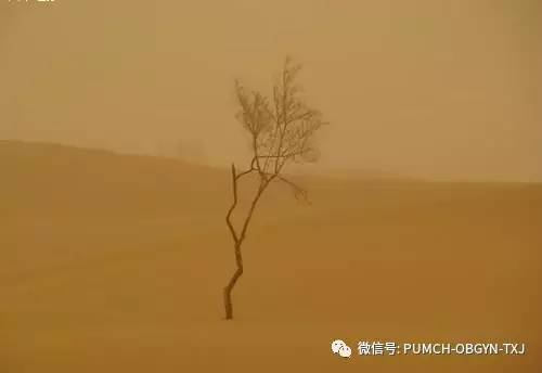 宫颈内膜异位症有哪些症状,子宫内膜异位症三联征