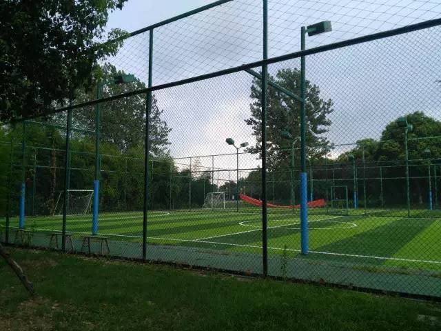 在春天赴一场樱花的约会,在春天去赴一场与花海的约会