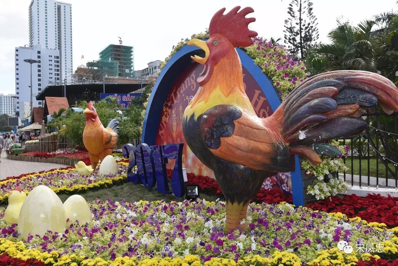 我的越南之旅旅行日记,旅行日记越南