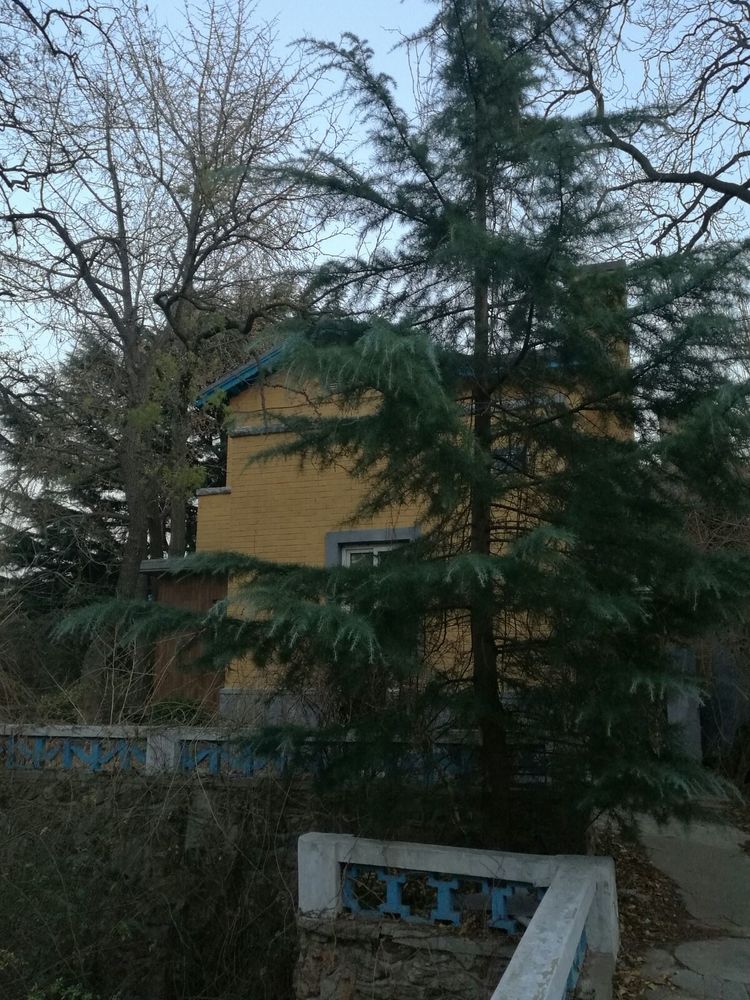 追寻历史遗迹感受文化魅力,八七疗养院历史遗迹