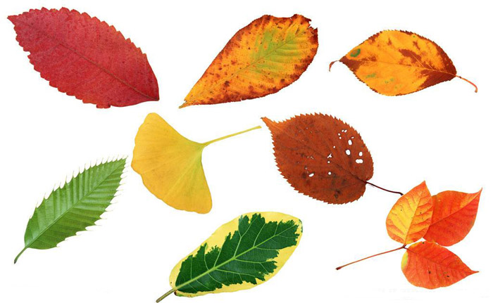 省钱贴：五行缺钱+天生手残，照样打造完美手帐！