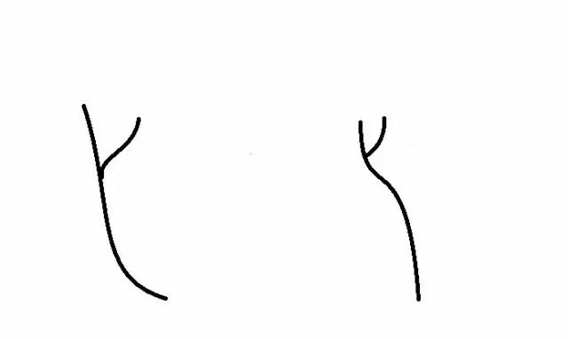 头发毛躁干枯分叉得很厉害怎么办,头发干枯毛躁打结分叉太多怎么办