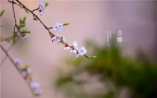 立春了怎么办小妙招,立春特别冷怎么回事