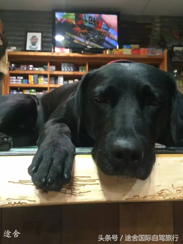 新西兰旅游游记,4月新西兰游记