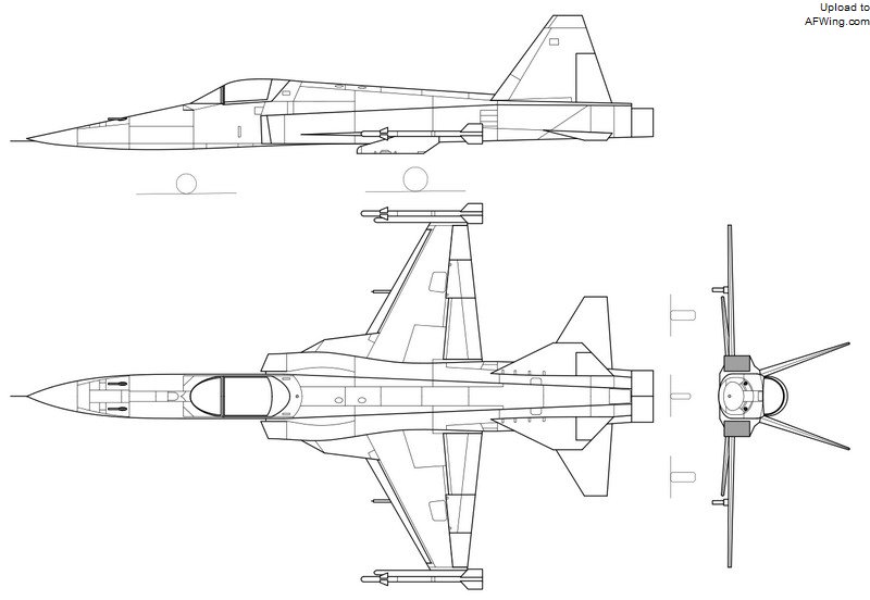 伊朗闪电战斗机战斗力,伊朗双垂尾波斯老虎