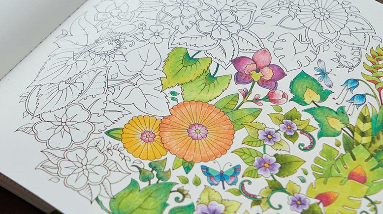 涂色的秘密花园绘本,secretgarden秘密花园