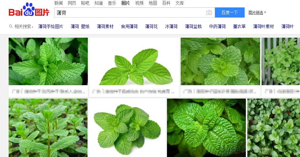 一加3t测评,一加3t详细评测