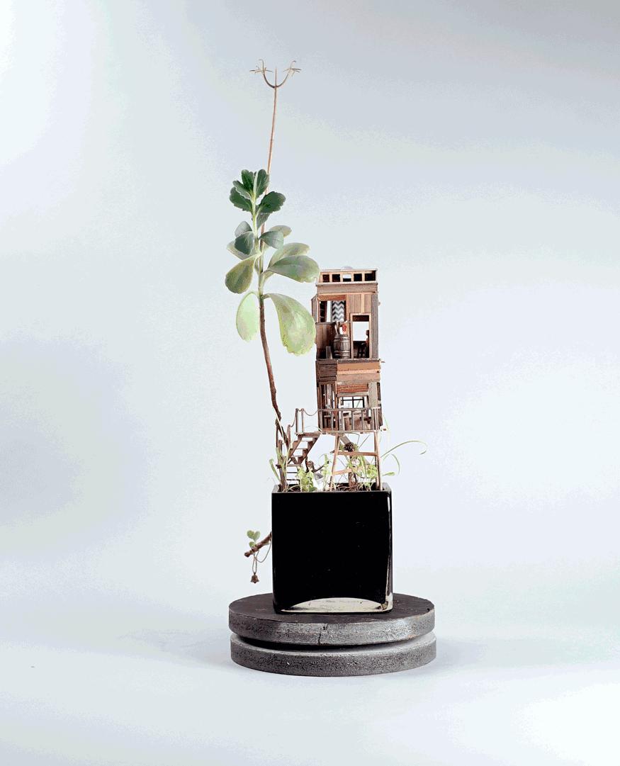 瀹ゅ唴鍒涙剰缁挎,瀹ゅ唴缁挎鏅閫犲瀷璁捐