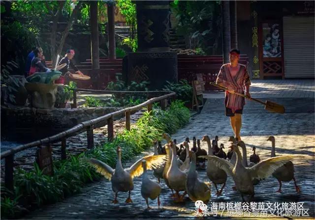 鸡年第一个流行语横空出世,鸡年第一个流行话