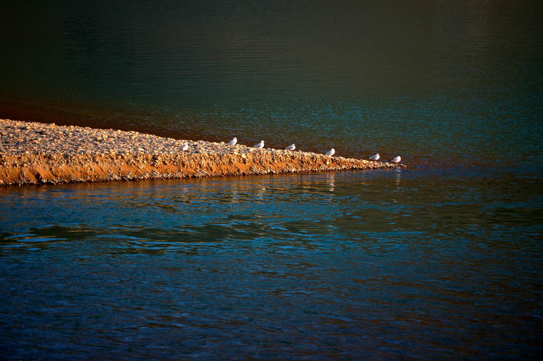 河道被挖开,被挖出来的河