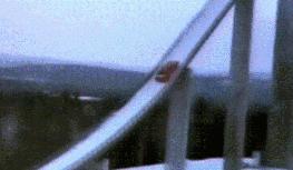 会玩儿广告,会玩儿游戏广告