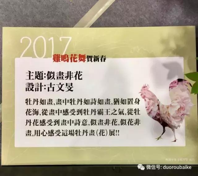 春节花市的鲜花,春节能看花的植物