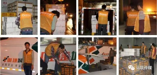 国际物流运作实务案例及解析,什么是国际物流的关键与核心环节